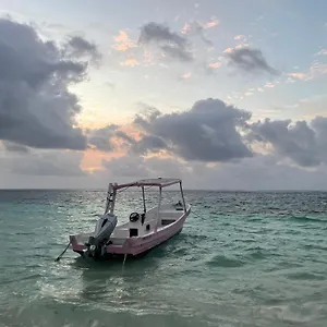 Home's Jungle Puerto Morelos 20 Minutes From The Airport Gasthuis Cancún